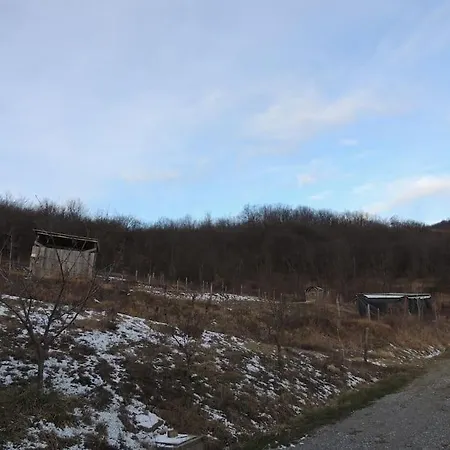 Casa Campagna Con Cavalli 公寓 Pellegrino Parmense